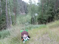 DSCN0208.webp