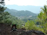 DSCN0521.webp