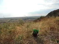 DSCN0321.webp