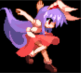 15.5 reisen.webp.png