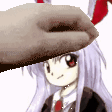 1000005147.gif