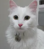1771786931499.webp