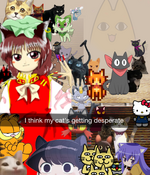 i think my cats a little desperate_20250608113007.webp.png