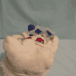 A2D063F4-133C-4ABA-AFF8-8E0F95C37855.gif