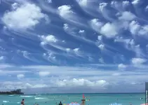1000020024.webp 1000020024.webp