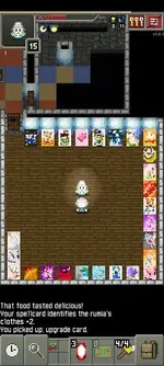 TouhouPixelDungeon.webp