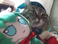 DSCF0366-min.webp