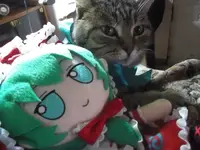 DSCF0360-min.webp