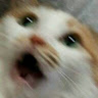RURUi