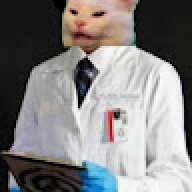 Pixelacatt