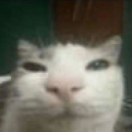 fufu