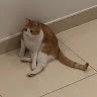suhsier