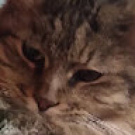 ckittycat5544