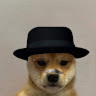 Doge