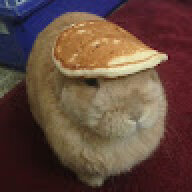 rabavoy