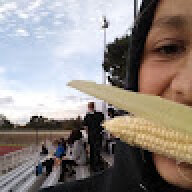 rice343