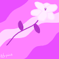 lily pink