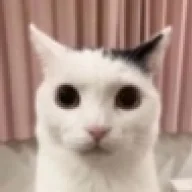 Laiten