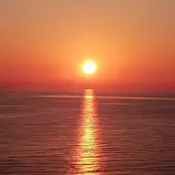 Solortus
