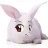 InabaUdonge