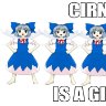 The Cirno Council
