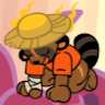 raccoon