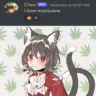 CatNipChen