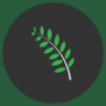 Green Catcher