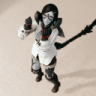 Avvercus