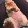 Kittycat143