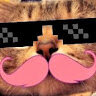 hermitcat