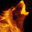 WildFireWolf