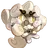 TFW