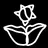 wiltedbloomstudio