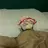 Tencel