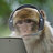 MonkeGaming67