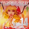 TOHO EUROBEAT VOL.14 ~紅魔郷~