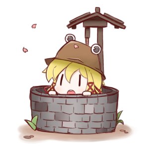 Little Frog in a well