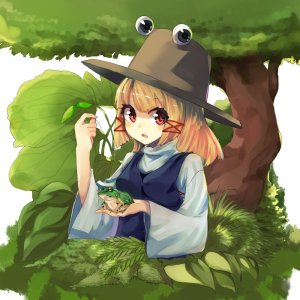 Little Frog Finds a Frind in the Bush
