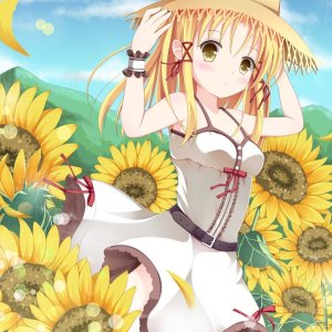 Little Frog's Sundressed Sunny Walk of Sunflowers