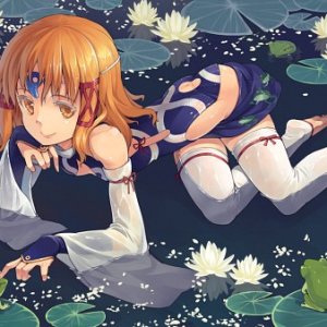 Little Frog's Graceful Trip