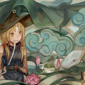 of frogs and ninjutsu