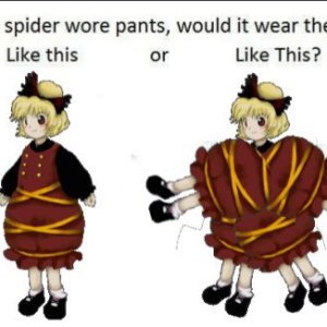 my spider.jpg