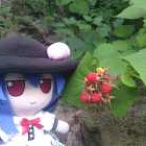 906BD116-641A-40AD-AFAE-9F108DA3F0F0.jpeg