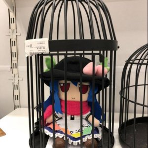 tenko.JPG