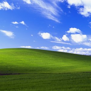 bliss