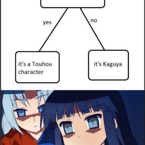 1715969413994308.jpg