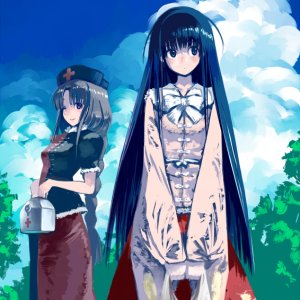 houraisan_kaguya_and_yagokoro_eirin_touhou_drawn_by_yaten__0a44b6439353e3095c231e3f9d3c1380.jpeg