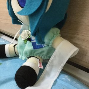 IMG_9258.jpeg