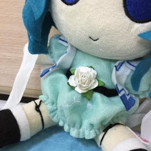 IMG_9259.jpeg